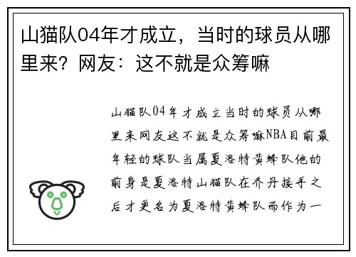 山猫队04年才成立，当时的球员从哪里来？网友：这不就是众筹嘛